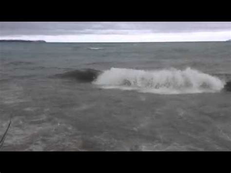 Blythe rosewarne, джереми вэйд, daniel göz и др. Loch Ness Monster in Lake Michigan? - YouTube