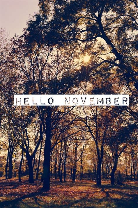 Hello November Hello November November Wallpaper November Backgrounds