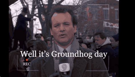 Bill Murray  Find And Share On Giphy