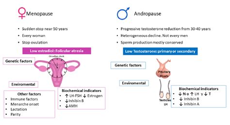 Menopause Vs Andropause The Differences Between Menopause And Download Scientific Diagram