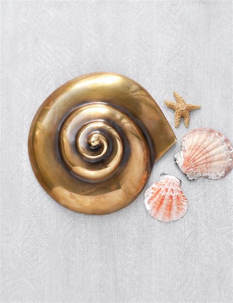 Vintage Brass Nautilus Shell Heavy Gold Bronze Metal Etsy Beach