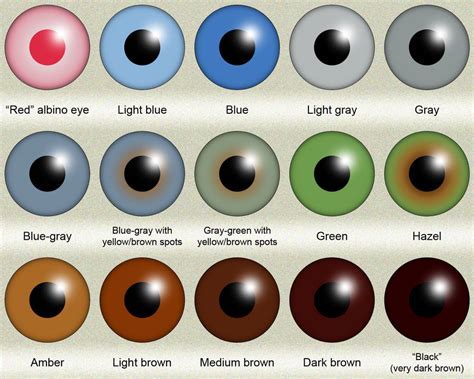 Newborn Eye Color Cheap Sellers Save 66 Jlcatjgobmx