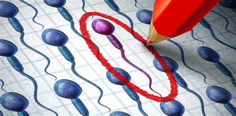How Mens Damaged Sperm Could Play Significant Role In Recurrent