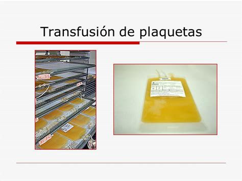 Transfusión De Plaquetas Banco De Sangre Puebla