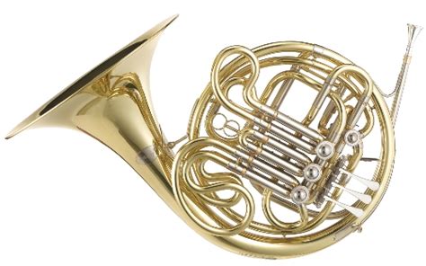 10 Interesting The French Horn Facts My Interesting Facts