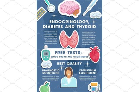 vector poster for endocrinology healthcare illustrations ~ creative market