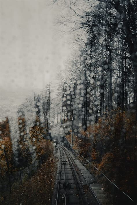 Railway Rails Glare Fog Forest Hd Phone Wallpaper Peakpx