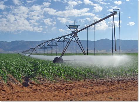 A Water Strategy For The Parched West Have Cities Pay Farmers To