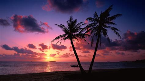 Tropical Beach Sunset Wallpaper Nature And Landscape Wallpaper Better
