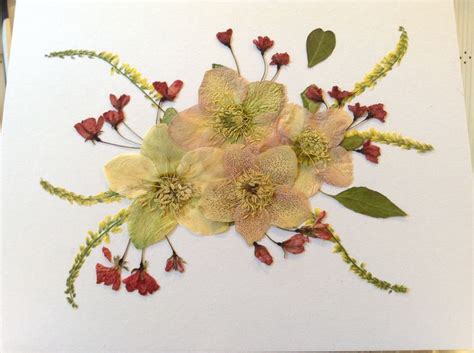 By Amie Clay Pressed Flower Art With Lenton Roses Apple Buds And