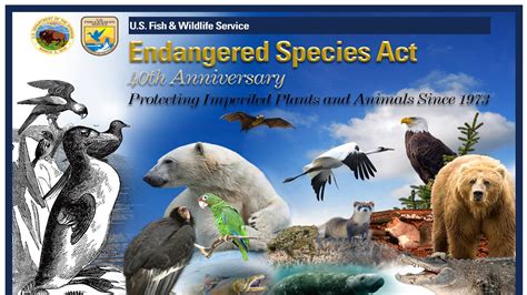 Petition · Protect The Endangered Species Act United States ·