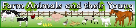 Farm Animals And Their Young Display Banner Sb7668 Sparklebox