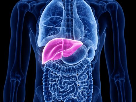 Investigational Treatment ARO-AAT Improves Liver Health in AATD - Rare