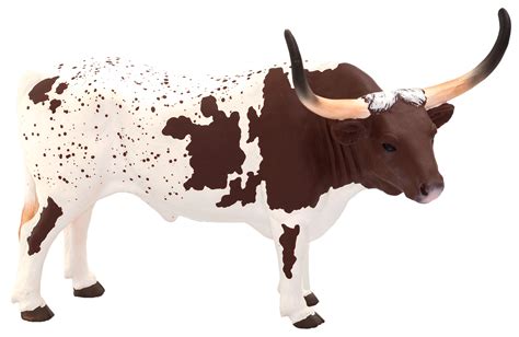 Texas Longhorn Bull | Mojo