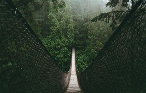 forest bridge wallpapers top free forest bridge backgrounds wallpaperaccess