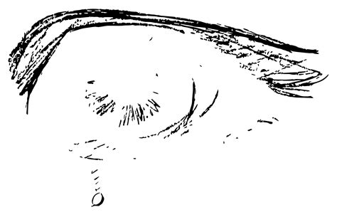 Dibujo A Lápiz De Un Ojo Con Una Lágrima Cristina Ilustraciones Y Diseños