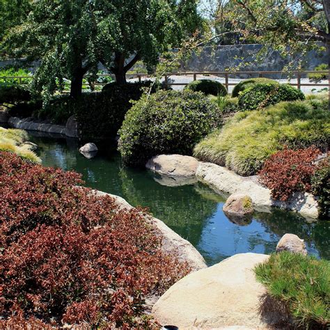 The Japanese Garden Los Angeles The Japanese Garden Yorumları