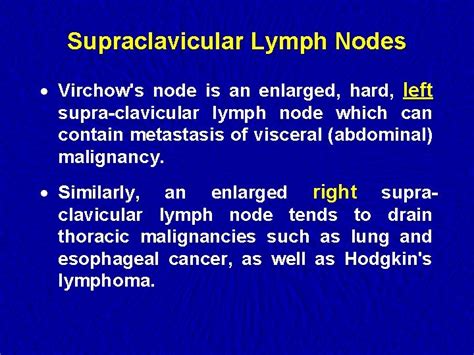 Lymph Nodes Examination Examination Of The Lymphatic System