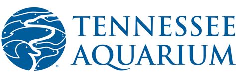 Tennessee Aquarium Summer Camp Summer Camps In Chattanooga Tn