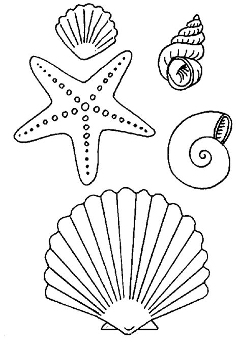 It doesn't matter what your child likes, it is easy to use the under the sea theme elements for many other parties too. Shell coloring pages | driftwood crafts and seashells, sea ...