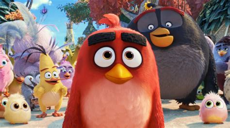 Angry birds в кино купить. Sorties à la maison : The Angry Birds Movie 2 et 47 Meters ...