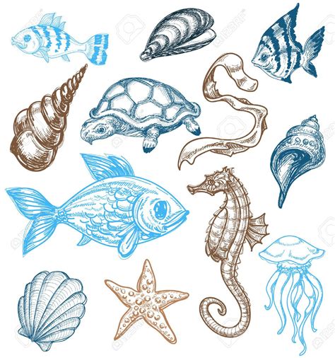 Some crafters may also find the line drawings useful. 9056352-Marine-life-drawing-Stock-Vector-starfish-sea-fish.jpg (1217×1300) | Sea animals ...