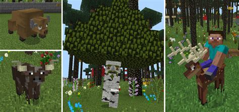 Roosterinasuit does a nice install guide/spotlight: Twilight Forest Addon (Map) | Minecraft PE Mods & Addons
