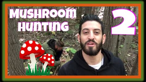 The Magical Mushroom Hunt Youtube