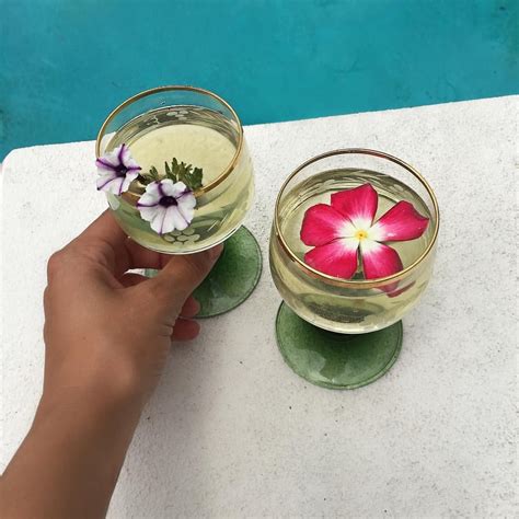 Apr 06, 2021 · originally posted 2018. Pin by ashley Mcalister on sips | Pretty drinks, Edible ...