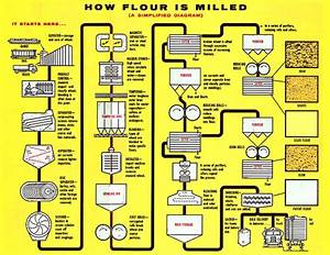 How Flour Is Milled Diagram Flour Com