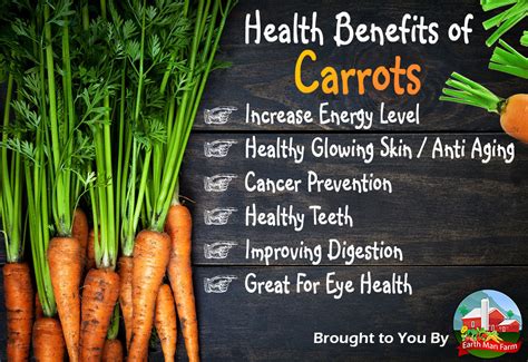 Health Benefits Of Carrots Earth Man Farm