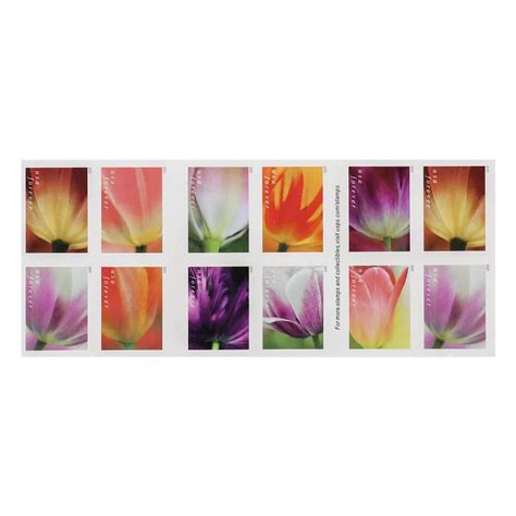 2023 Us First Class Forever Stamps Tulip Blossoms Booklet Us Stamps