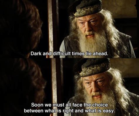 Dumbledore Goblet Of Fire Meme - Harry Potter and the Goblet of Fire | Writing humor, Writer humor