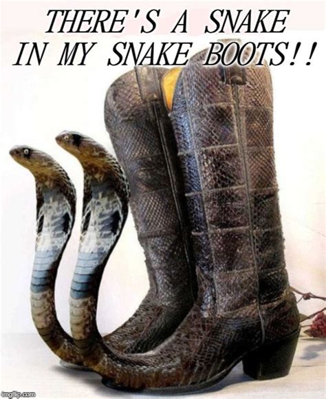Image Tagged In Snakeboots Imgflip