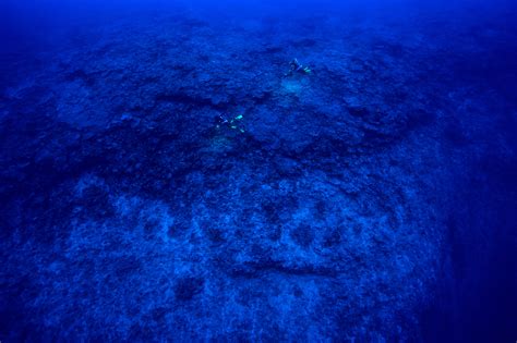 Underwater Photographer Franck Gazzolas Gallery Underwater Seascapes