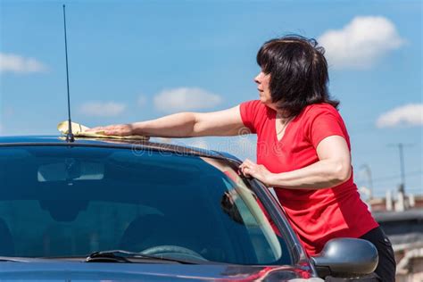 brunette woman washes her car stock image image of hand housework 73381361