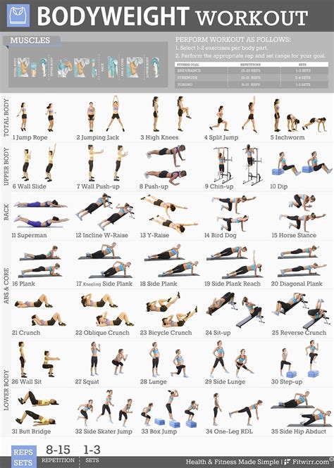 Fitwirrs 5 Workout Posters Pack 19x27 Dumbbell Exercises Stretching