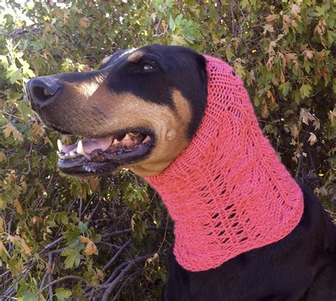 Lace Dog Snood Pattern For Size Medium To Large Dog Knitting Etsy