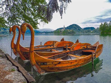 Families who visit the club/lake gaston resort under certain special promotions are eligible to win major prizes. 7 Fun Things to do at Lake Bled