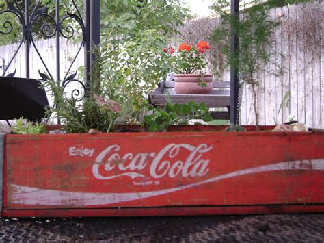 Made A Mini Garden Today In An Old Cocacola Wooden Crate Everything
