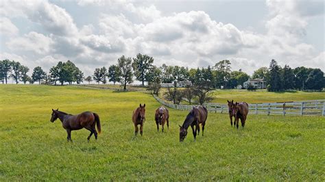 Kentucky Horse Country Emb43430dxo Taken Near Kentucky Flickr