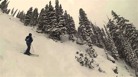 Snowbirds Finest Tree Ski Youtube