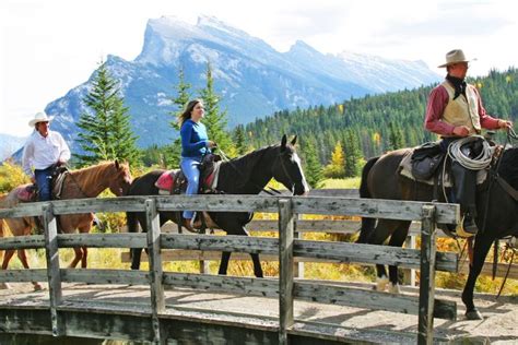 1hr Bow River Horseback Ride Discover Banff Tours