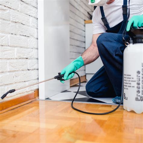 So, what are you responsible for? No Tent Termite Treatment South Florida | Pest Control ...