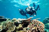 Images of Cruises With Scuba Diving