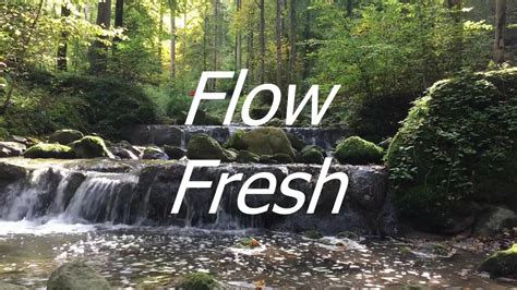 Flow Fresh Youtube