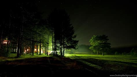 Night Forest 4k Or Hd Wallpapers For Your Pc Mac Or Mobile Device