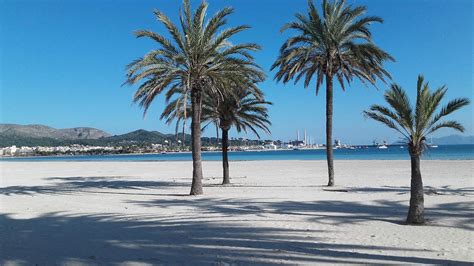 Las Mejores Playas En Alcudia Majorca