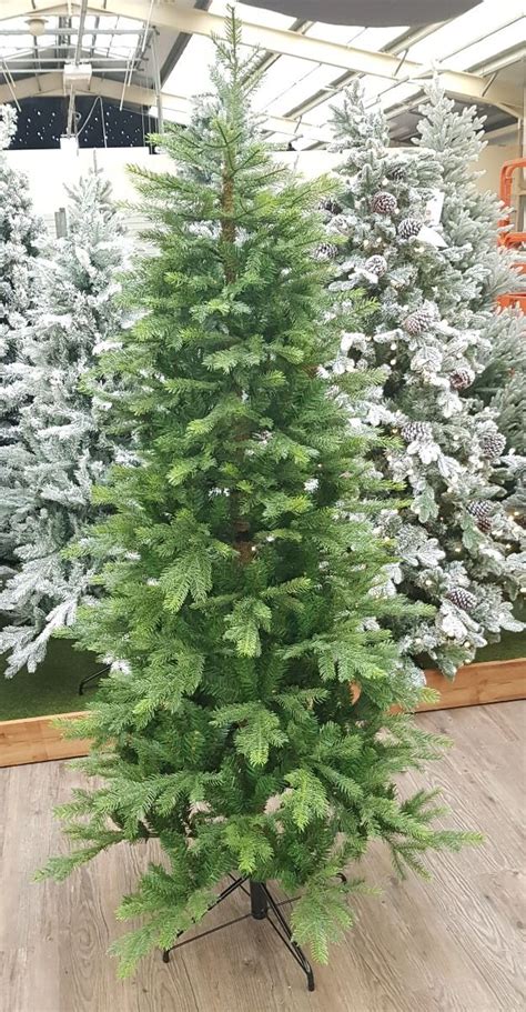 65ft Slim Kelford Fir Puleo Christmas Tree