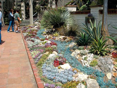 We believe that how to make a cactus garden exactly should look like in the picture. Pacific Horticulture Society | A Succulent Oasis at ...